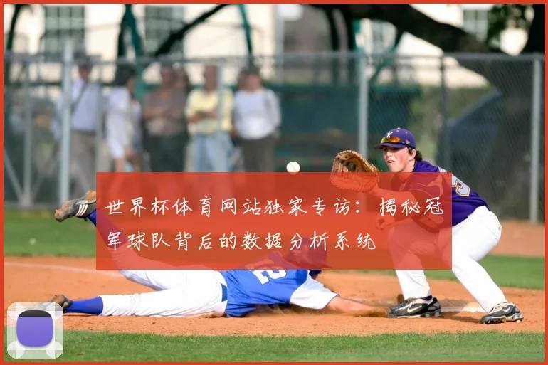 世界杯体育网站独家专访：揭秘冠军球队背后的数据分析系统