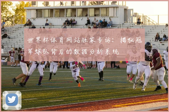 世界杯体育网站独家专访：揭秘冠军球队背后的数据分析系统