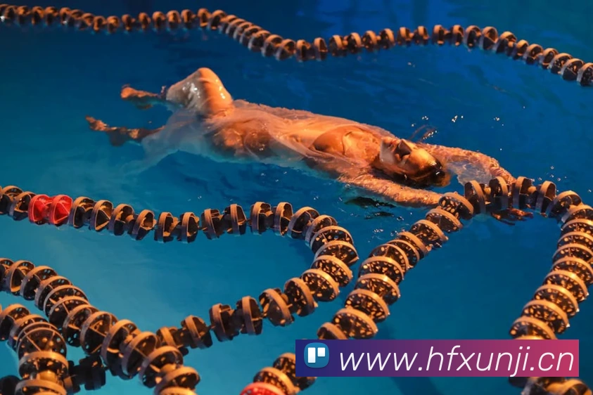 数据防护可视化